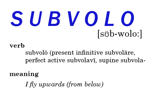 Subvolo, verb, meaning I fly upwards